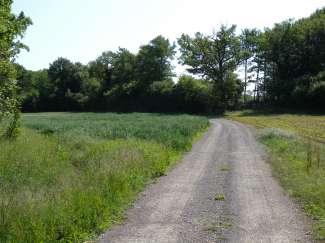 DSCN0108.JPG